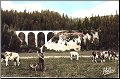 Editions la Sequana "Hélias" paysage jurassien: la ferme et le viaduc de Morillon. carte peinte, années 60 